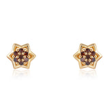 Cercei din Argint 925 Placat cu Aur ( 1.34 grame ) cu Diamant Roșu 0.14 Carate