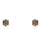 Cercei din Argint 925 Placat cu Aur ( 1.12 grame ) cu Diamant Negru 0.14 Carate