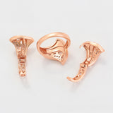 Set din Aliaj Placat cu Aur cu Cristal Alb Emporia® ( Cercei+Inel )