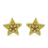 Set din Argint 925 Placat cu Aur ( 3.13 grame ) cu Diamant de culoarea Șampaniei și Diamant Alb 0.09 Carate ( Cercei )